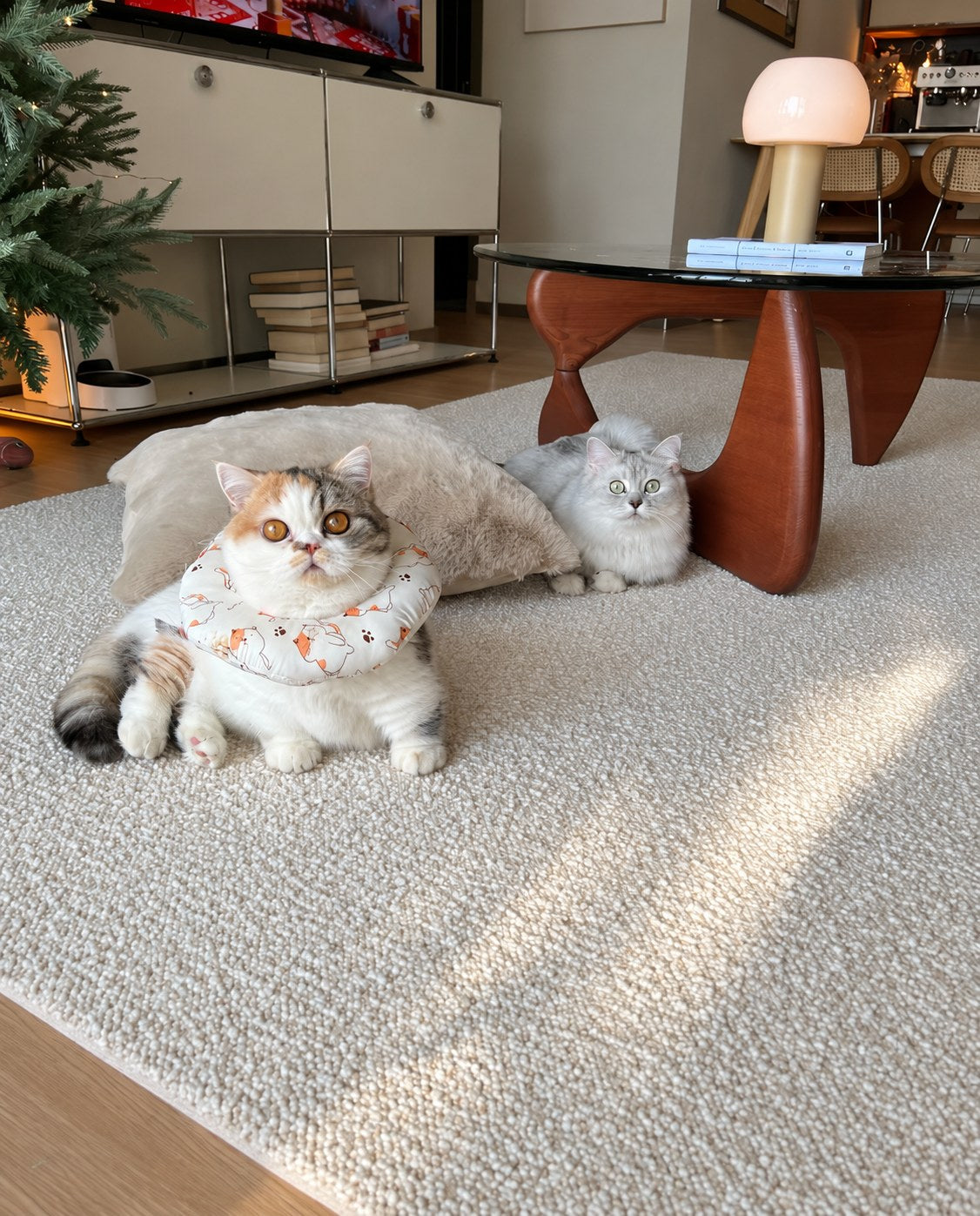 Two cats relaxing on Daybreak rug beside a wooden coffee table.