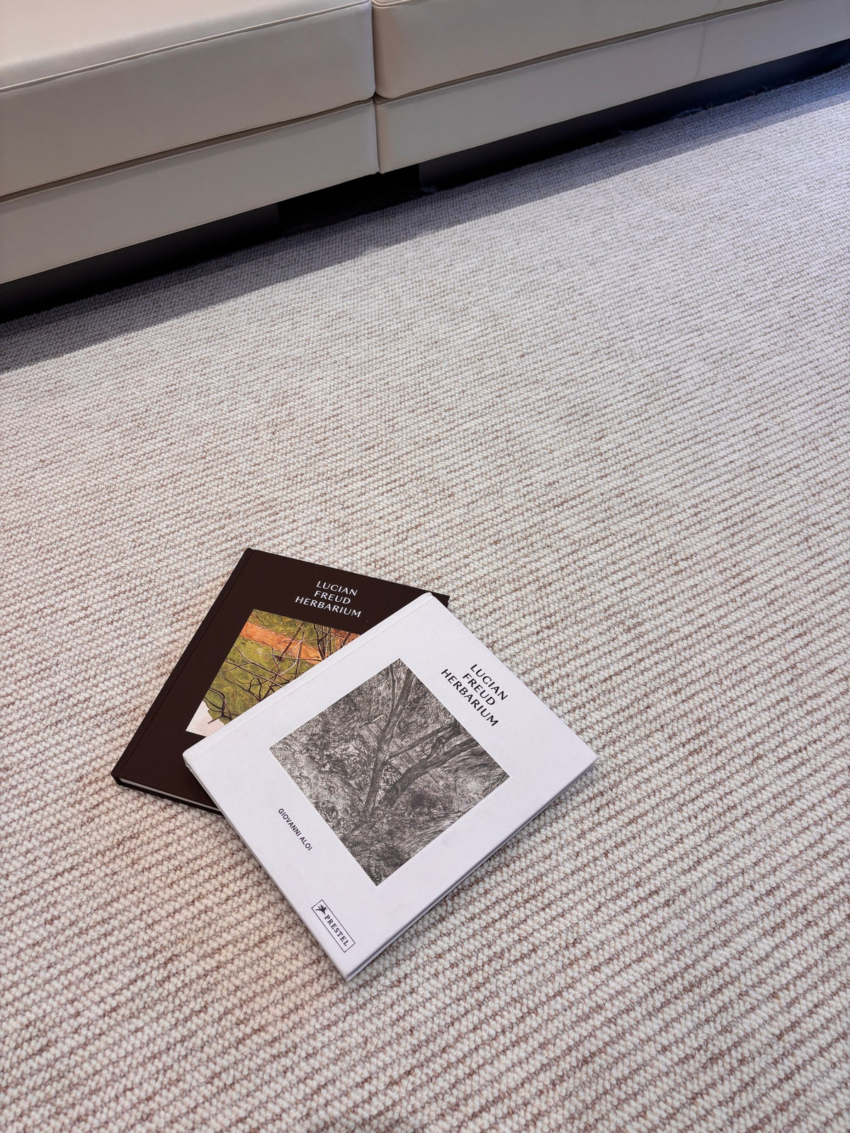Glint rug in front of a white sofa, with two art books resting on its ivory cords.
